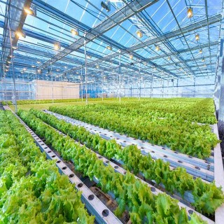 Agriculture Greenhouse Mounting System